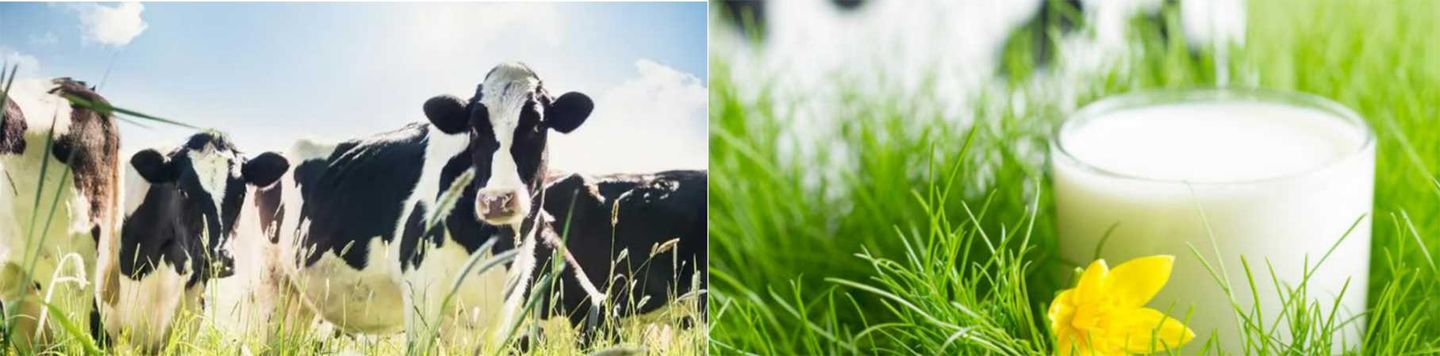 thumbnail.a277792e-f1e3-45b5-9aeb-3d15c654332d1708417343851