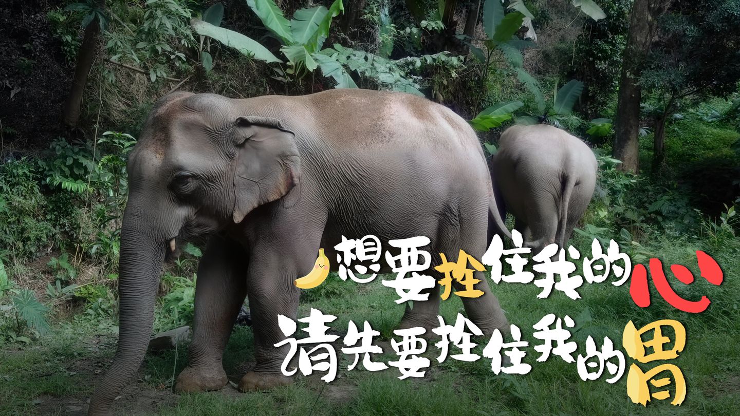 5cadd00e-a339-4268-8e97-53e13b23d6851766578410663