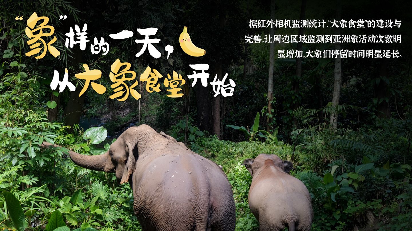 e41aaf09-a917-4641-acdb-c2d622bf9b121766578389968