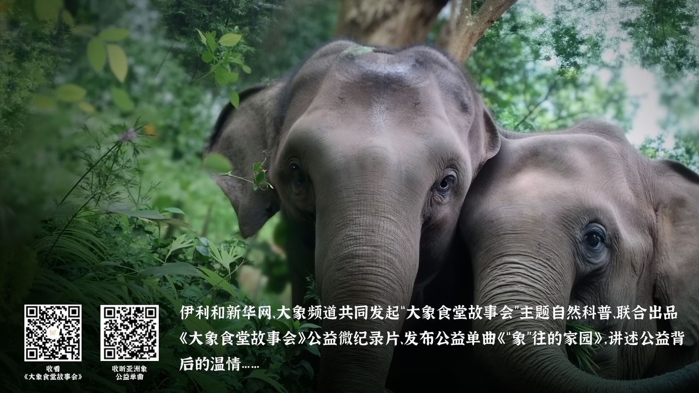 ff5d3b1f-3d21-4594-9364-676fb07f02321766578498308